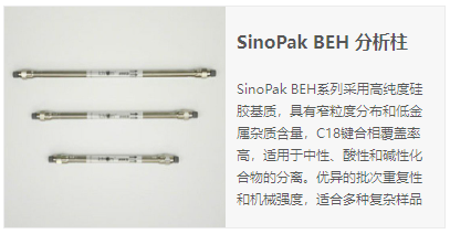 SinoPak BEH雜化硅膠柱
